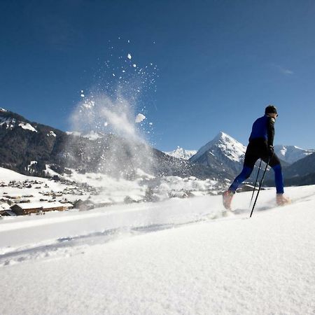 Haus Stabentheiner Apartment Au (Vorarlberg) Екстериор снимка