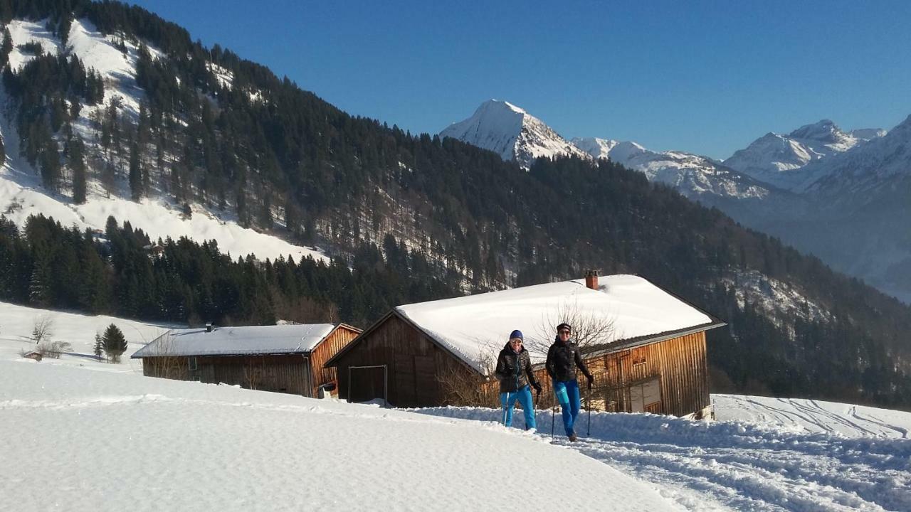 Haus Stabentheiner Apartment Au (Vorarlberg) Екстериор снимка