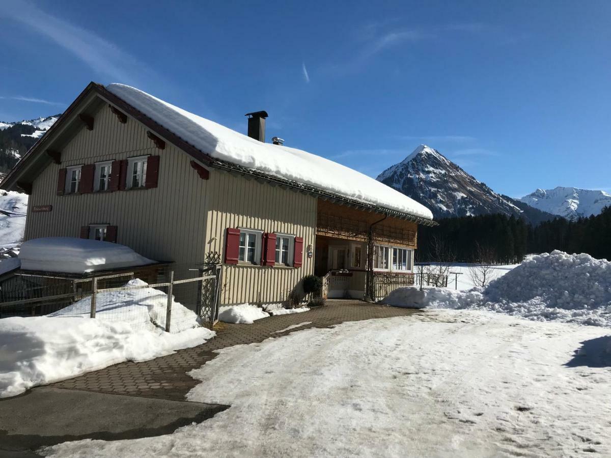 Haus Stabentheiner Apartment Au (Vorarlberg) Екстериор снимка