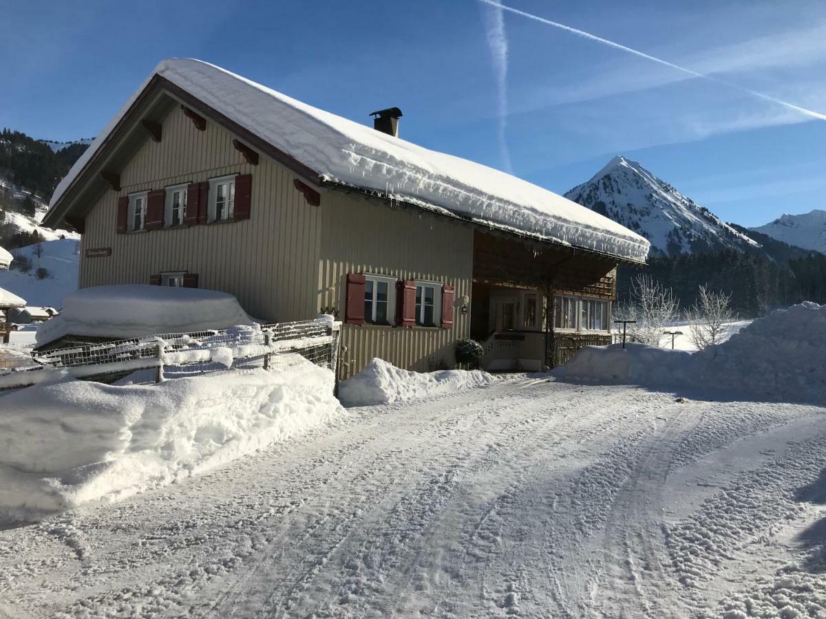 Haus Stabentheiner Apartment Au (Vorarlberg) Екстериор снимка