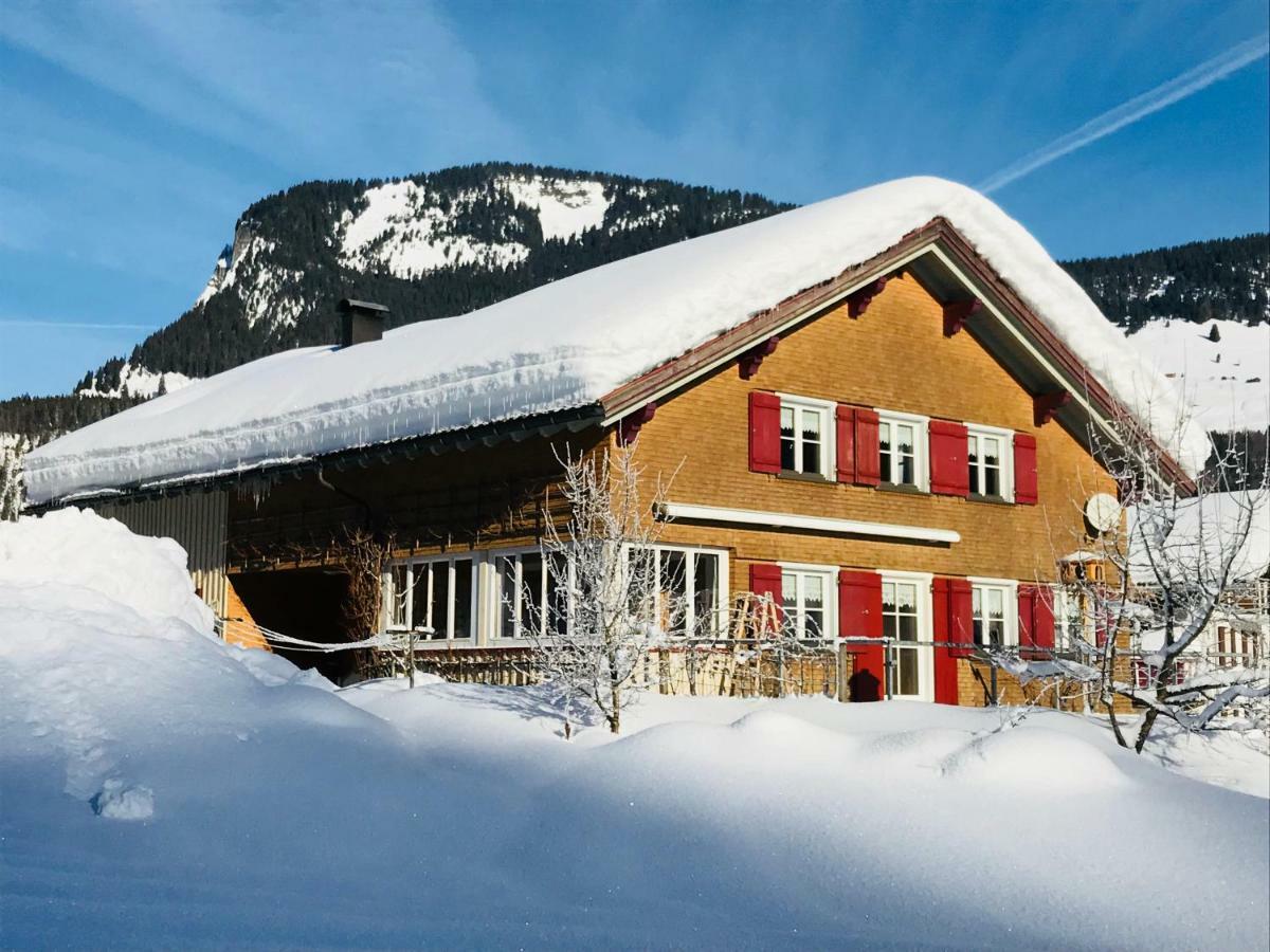 Haus Stabentheiner Apartment Au (Vorarlberg) Екстериор снимка