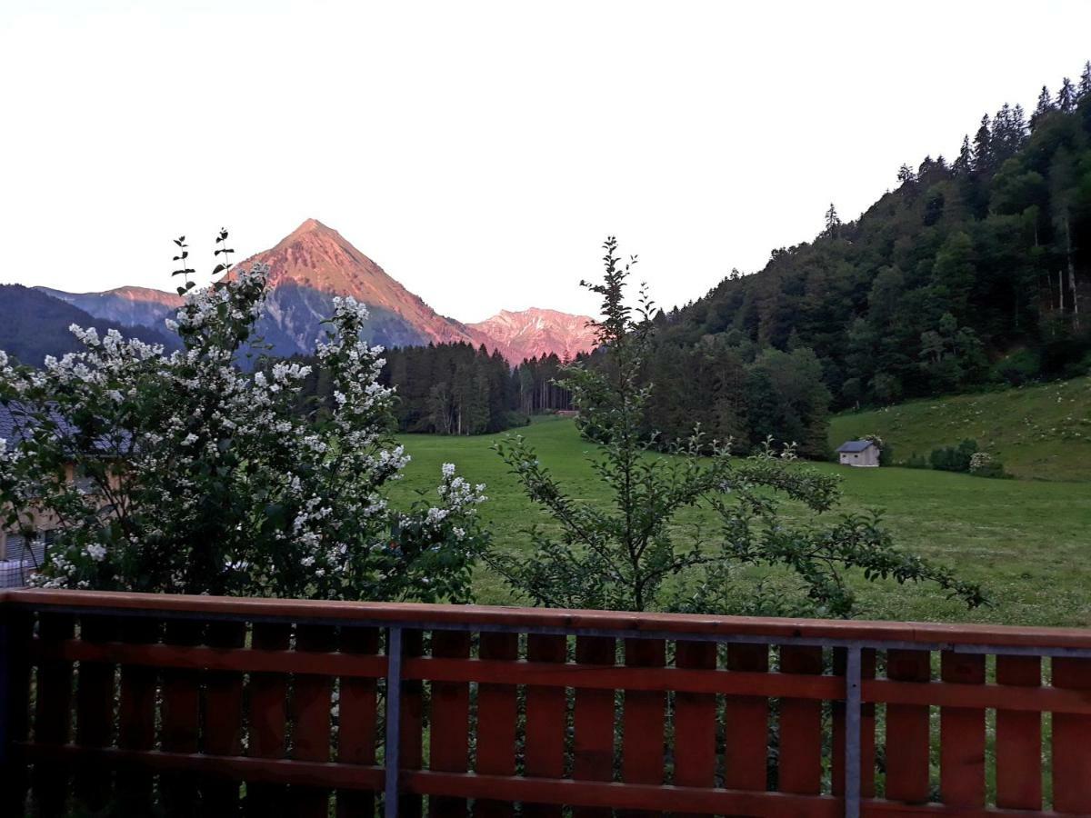 Haus Stabentheiner Apartment Au (Vorarlberg) Екстериор снимка